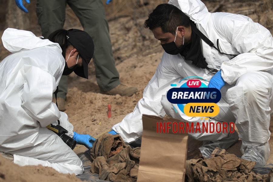 Hallan cinco cuerpos calcinados cementerio clandestino en México
