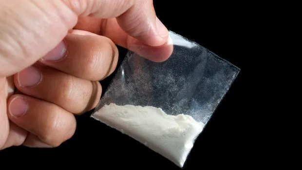 Incineran cerca de 2 toneladas de drogas, en su mayoría cocaína